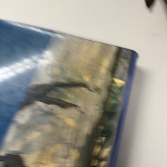 Manet : A Retrospective by Theresa A. Gronberg (1990, Hardcover) - Picture 8 of 9